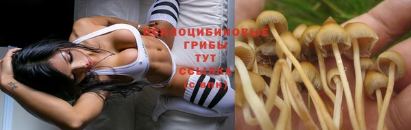 спайс Сосновка