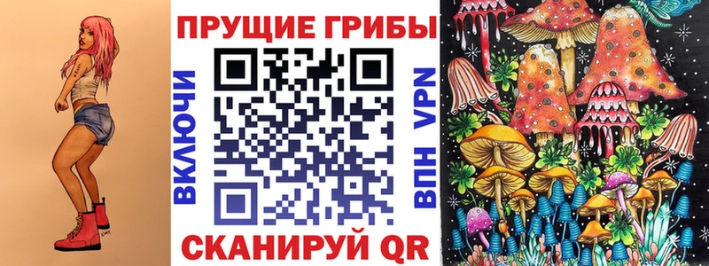Купить где  Южноуральск  Галлюциногенные грибы мицелий 